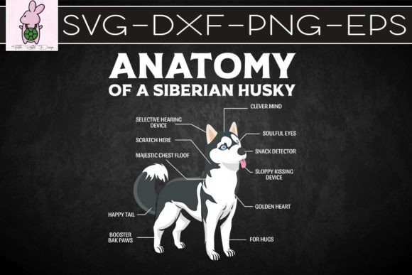 Funny Anatomy Husky Dog Lover Gift Review