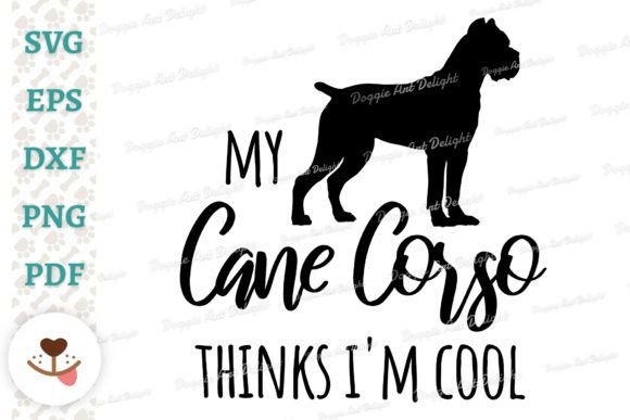 My Cane Corso Think s I m Cool